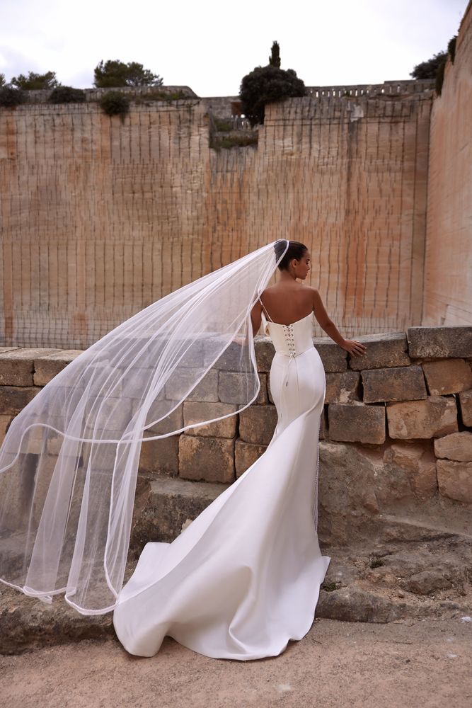 Ashlyn veil  Accessories